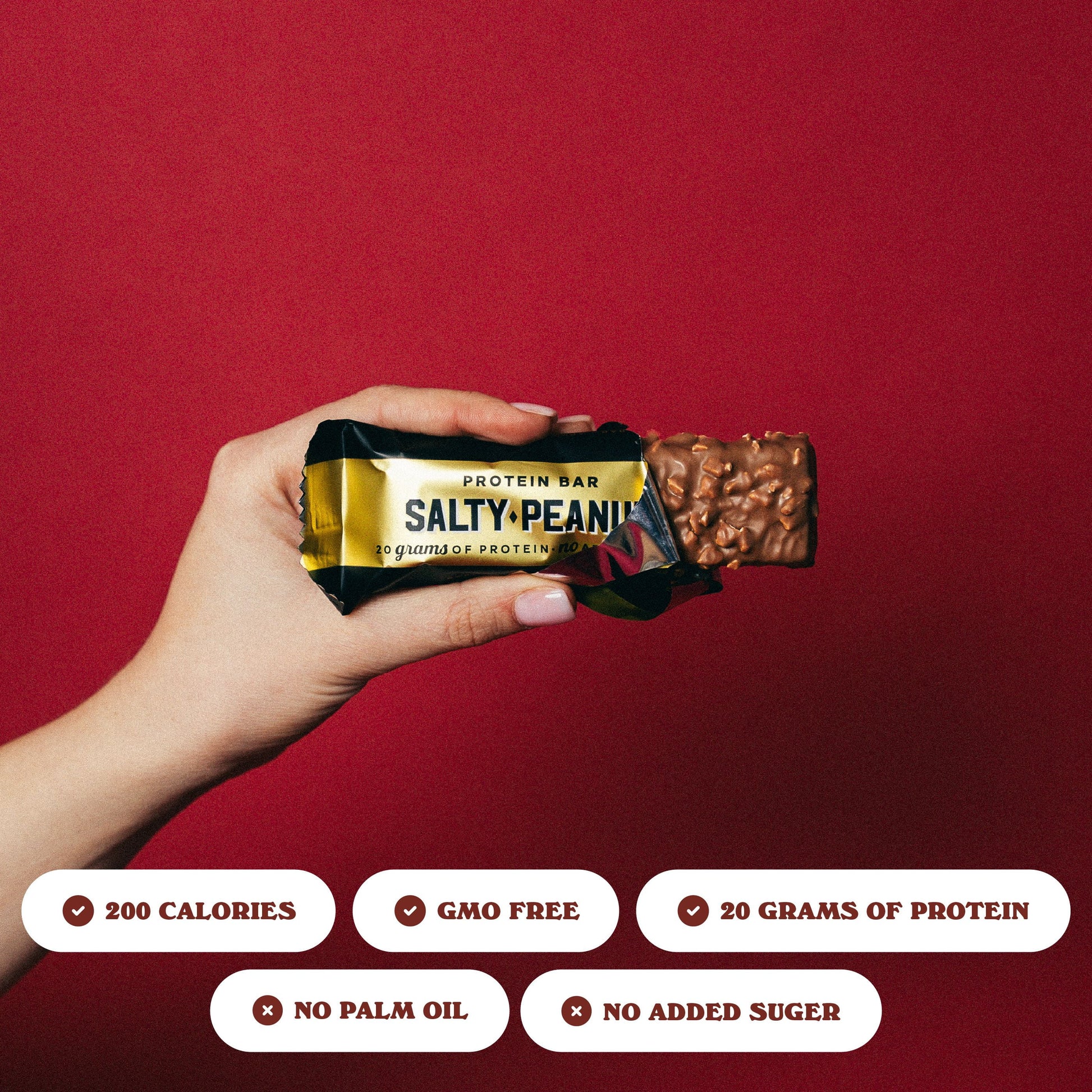 Protein Bars Salty Peanut - 12 Count, 20G High Protein Treats - Chocolate Nutrition Bar with 1G Total Sugars - On-The-Go Breakfast or Post-Workout Snack