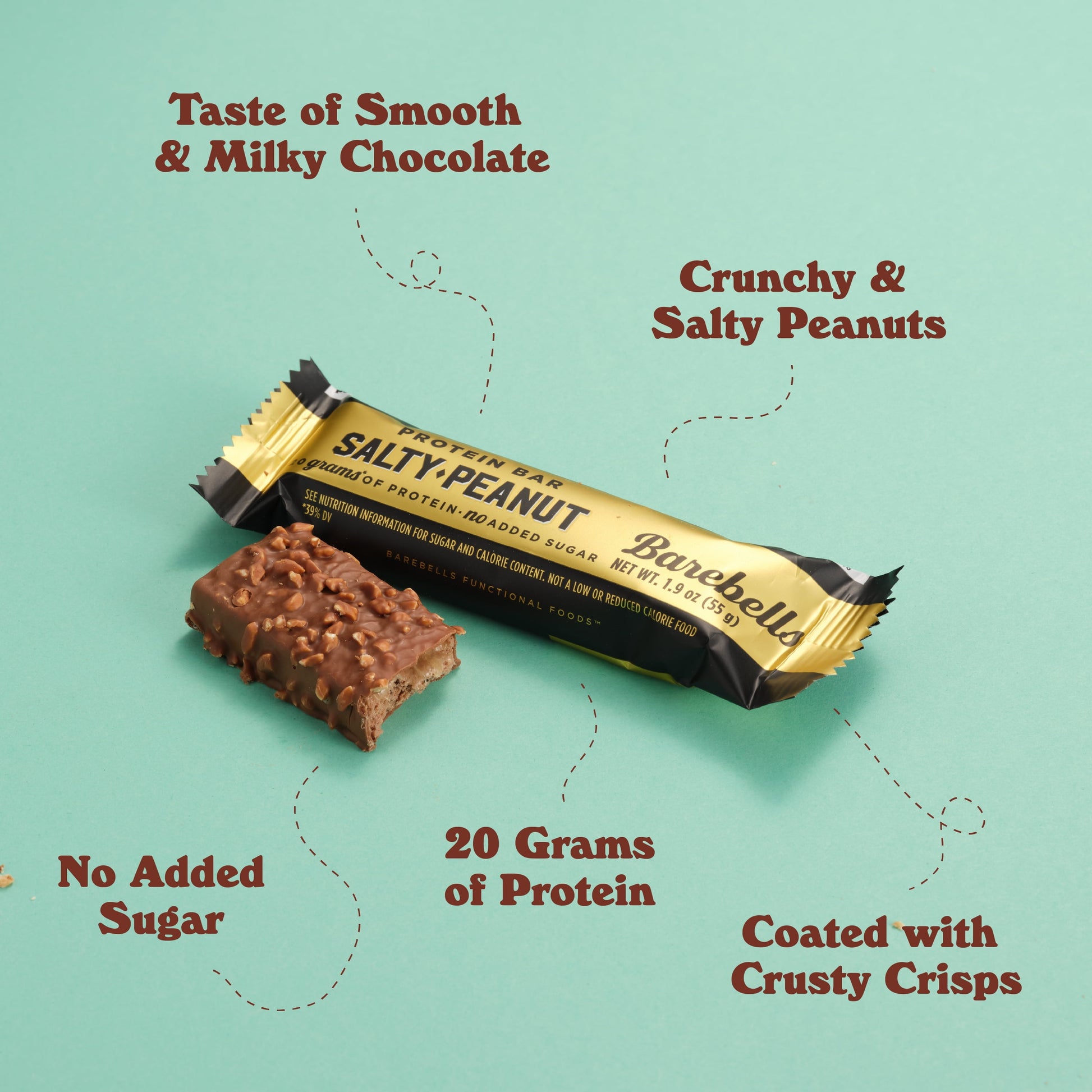 Protein Bars Salty Peanut - 12 Count, 20G High Protein Treats - Chocolate Nutrition Bar with 1G Total Sugars - On-The-Go Breakfast or Post-Workout Snack